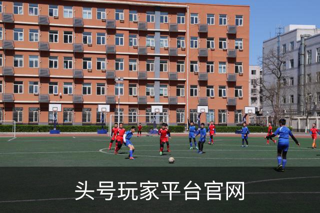 关于头号玩家平台官网